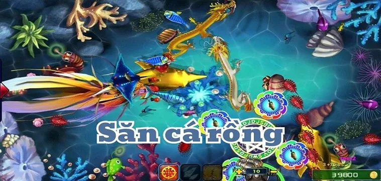 Cách Chơi Bắn Cá Rồng JBO: Săn Thưởng Khủng Đại Dương 2025 1 Cách Chơi Bắn Cá Rồng JBO: Săn Thưởng Khủng Đại Dương 2025