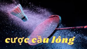 Bí Kíp Cá Cược Cầu Lông JBO Dễ Thắng Cho Người Mới Bắt Đầu