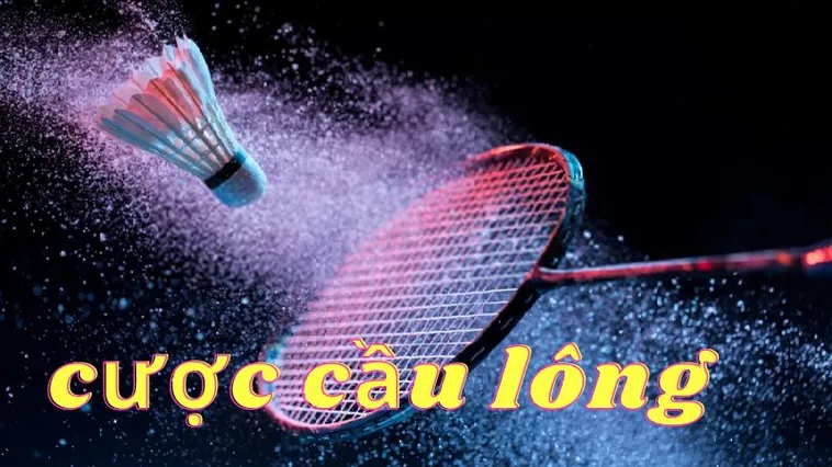 Bí Kíp Cá Cược Cầu Lông JBO Dễ Thắng Cho Người Mới Bắt Đầu