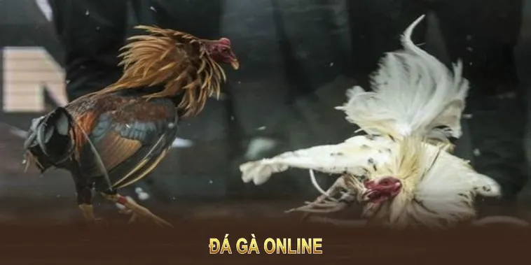 Mẹo Chơi Đá Gà WS168 Tại JBO Dễ Thắng Lớn Trong Vài Phút