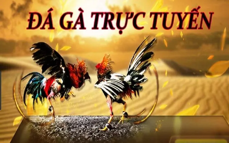 Bí Quyết Chơi Đá Gà 3D Tại JBO Thắng Lớn Chỉ Trong 5 Phút
