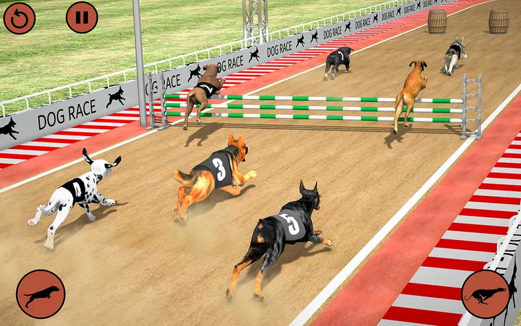 Bí Quyết Chinh Phục Game Nhanh Đua Chó Tại JBO Để Thắng Lớn