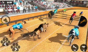 Bí Quyết Chinh Phục Game Nhanh Đua Chó Tại JBO Để Thắng Lớn