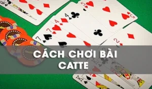 Hướng Dẫn Cách Chơi Sắc Tê Nhà Cái JBO Thắng Lớn Dễ Dàng
